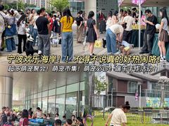 -欢乐海岸