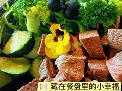-百好乐宠物友好餐厅(朝外大街店)