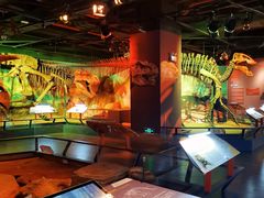 -正佳自然科学博物馆