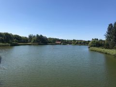 -大兴滨河森林公园