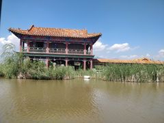-哈素海