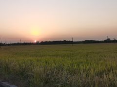 -嘉北郊野公园