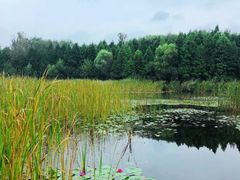 -溱湖国家湿地公园