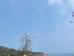-广东惠东海龟国家级自然保护区