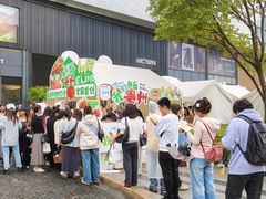 -合景·悠方(成都店)