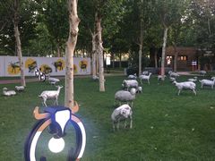 -九十九顶毡房(阜石路店)