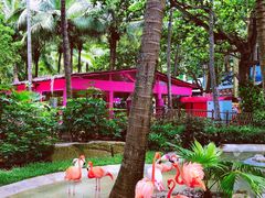 -三亚蜈支洲岛旅游区