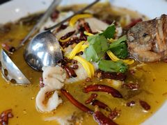 酸菜鲈鱼-大鸽饭(马王堆店)