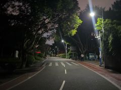 -仙岳公园