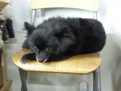 android_upload_pic-A+摄影