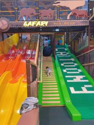 -卡通尼·Safari非洲探索乐园·生日会(金桥国际商业广场店)