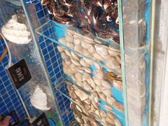 -加餐海鲜自助餐厅(福清万达店)