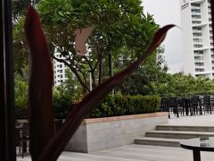 -JW万豪厨房餐厅·滨海草坪烧烤·海鲜·海景(三亚绿发山海天JW万豪酒店)