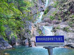 -九龙江国家森林公园