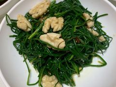 果仁爱沙葱-九十九顶毡房(阜石路店)