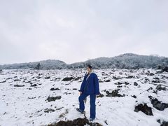 -武陵山森林公园
