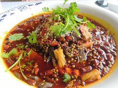 精品毛血旺-津悦·正阳春烤鸭(红旗南路店)