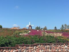 -北纬44度·金珠花海休闲农业旅游景区