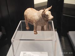 -隋唐大运河文化博物馆