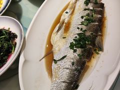 -松沪名灶·豆浆鱼头·新上海菜(飞航吾悦广场店)