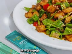 -煲来饱去冷水鱼