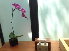 雅居乐莱佛士酒店-海南清水湾莱佛士酒店