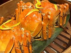-成隆行·蟹王府(九江路店)