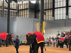 -东芭乐园