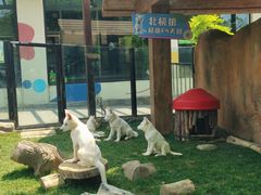 -大连森林动物园