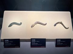 -荆州博物馆
