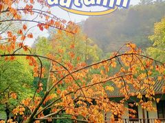 -狼山风景名胜区