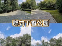 -群力丁香公园