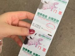 -广州长隆野生动物世界