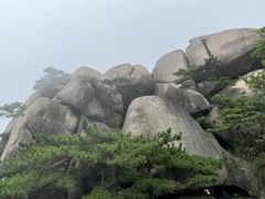 -天柱山风景区