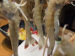 -尚海豆捞(乐虹坊店)