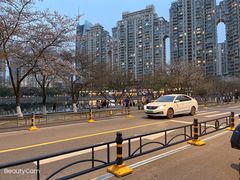 -西北湖绿化广场