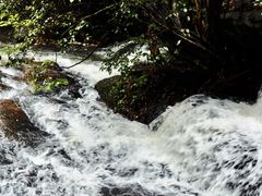 -马峦山郊野公园