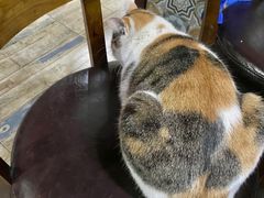 -幸福蓝海院线影城(世茂滨江店)