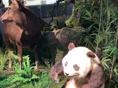 -四川大学博物馆