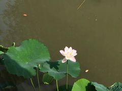 -韩湘水博园