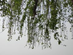-洪泽湖古堰景区