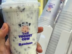 -一只酸奶牛(奎星楼店)