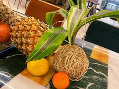 -PlantsEatery·植物食堂(REX春熙店)
