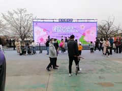 -高东镇樱花园