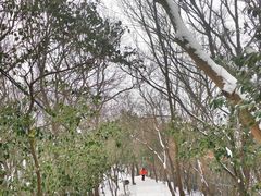 -紫金山山顶公园