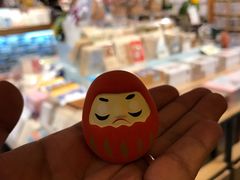 -猫的天空之城概念书店(丽江古城饮玉巷店)