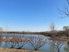 -东郊湿地公园