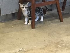 -咖法森林·咖啡  酒吧(天河店)