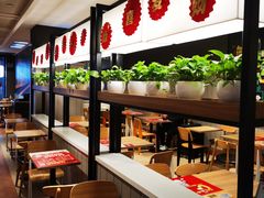 -肯德基(合肥站店)