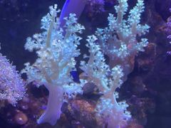 -白佛花鸟鱼虫批发市场小型宠物交易(东区)